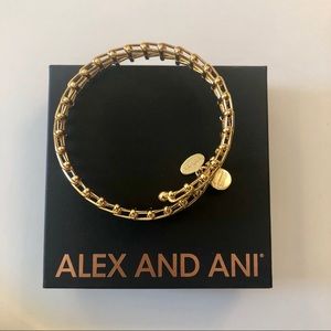 New Alex and Ani bracelet